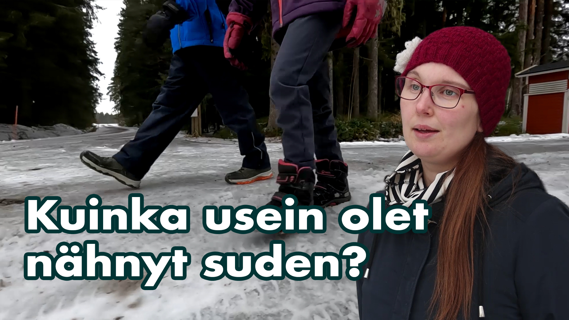 Kuinka usein olet nähnyt suden?