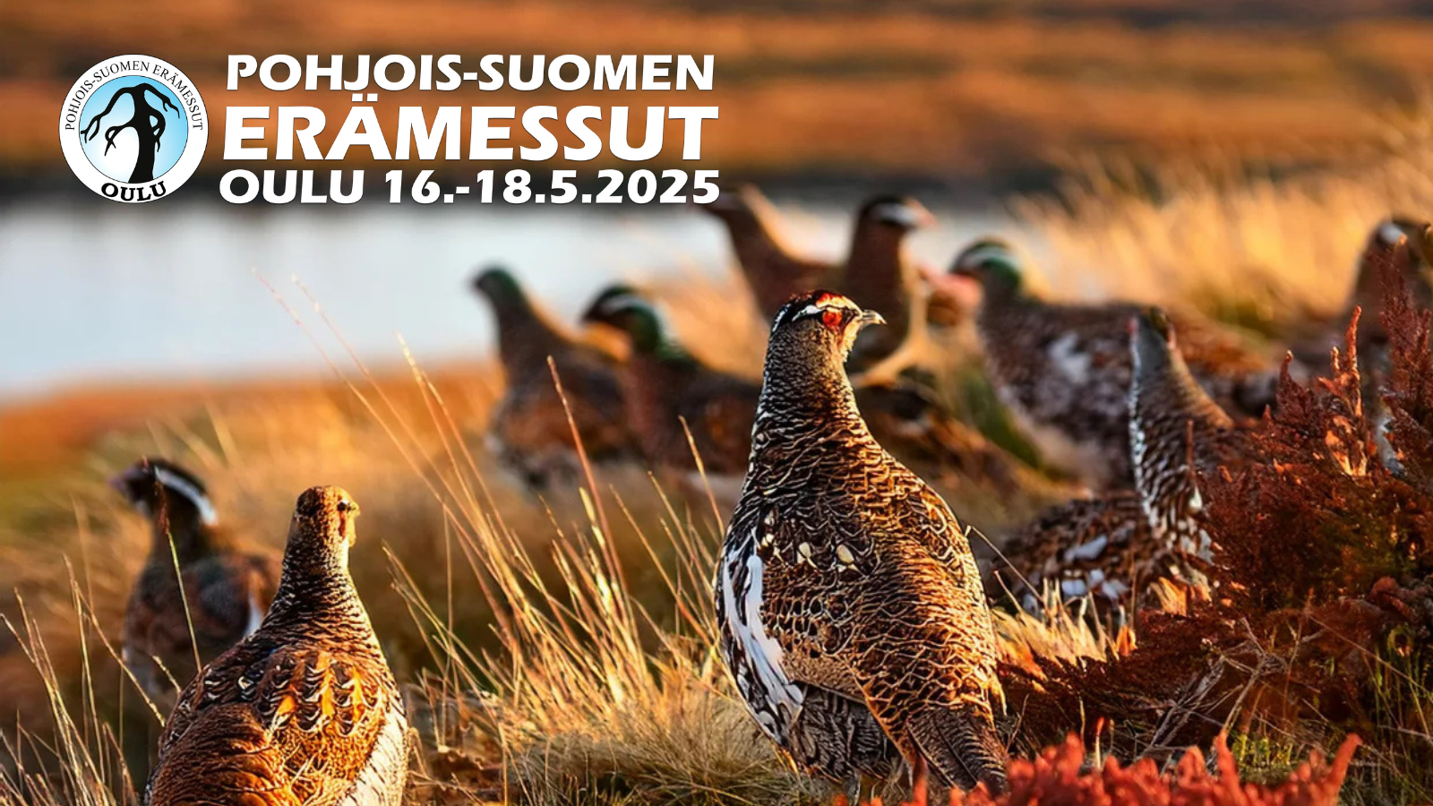 Oulu Erämessut