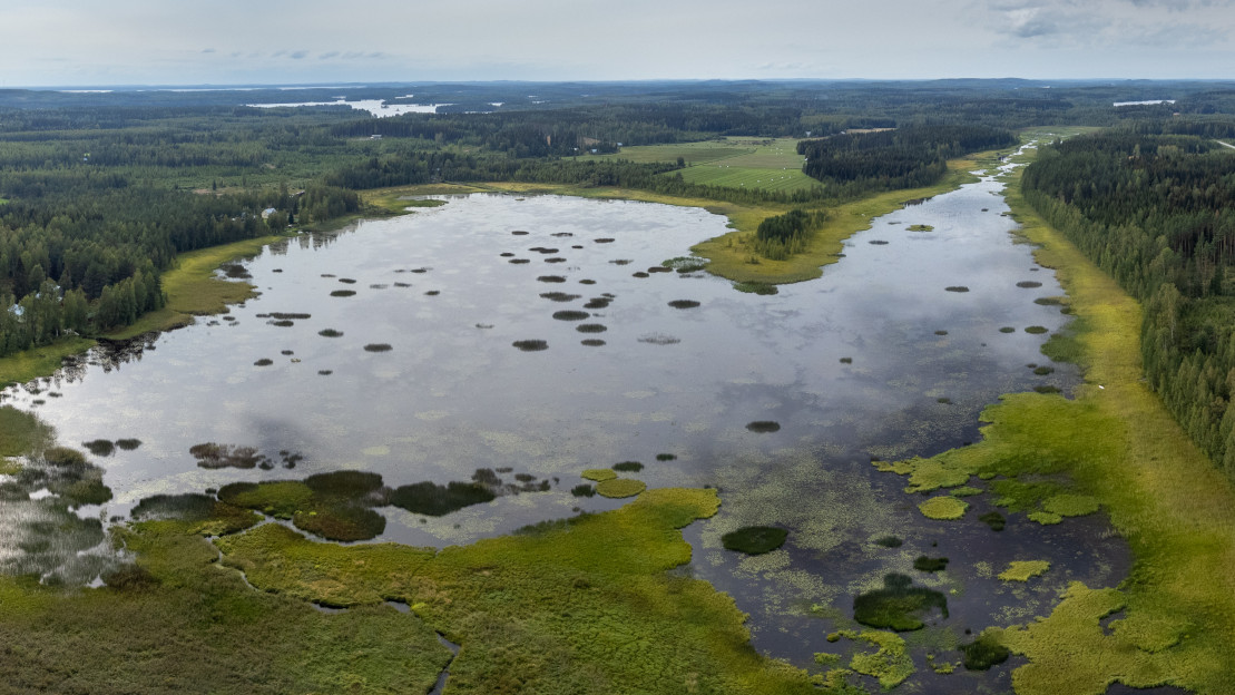 Syvänniemen Keihäsjärvi on tunnettu lintuvesi. Alueella on tehty kunnostustoimia vedenlaadun parantamiseksi ja vesi- ja rantalinnuston hyväksi. Keihäsjärvi sekä viereinen Pitkäjärvi kuuluvat valtakunnalliseen lintuvesien suojeluohjelmaan. Vesialueet omistava Rasvanki-Virmasveden osakaskunta on rauhoittanut alueen kolme lintuvettä, Pitkäjärvi – Keihäsjärvi – Itälampi, viideksi vuodeksi vesilinnustuksesta. Alueen metsästysseurat jatkavat pienpetopyyntiä keskittyen vieraspetojen poistoon. Kattavan pyynnin tote
