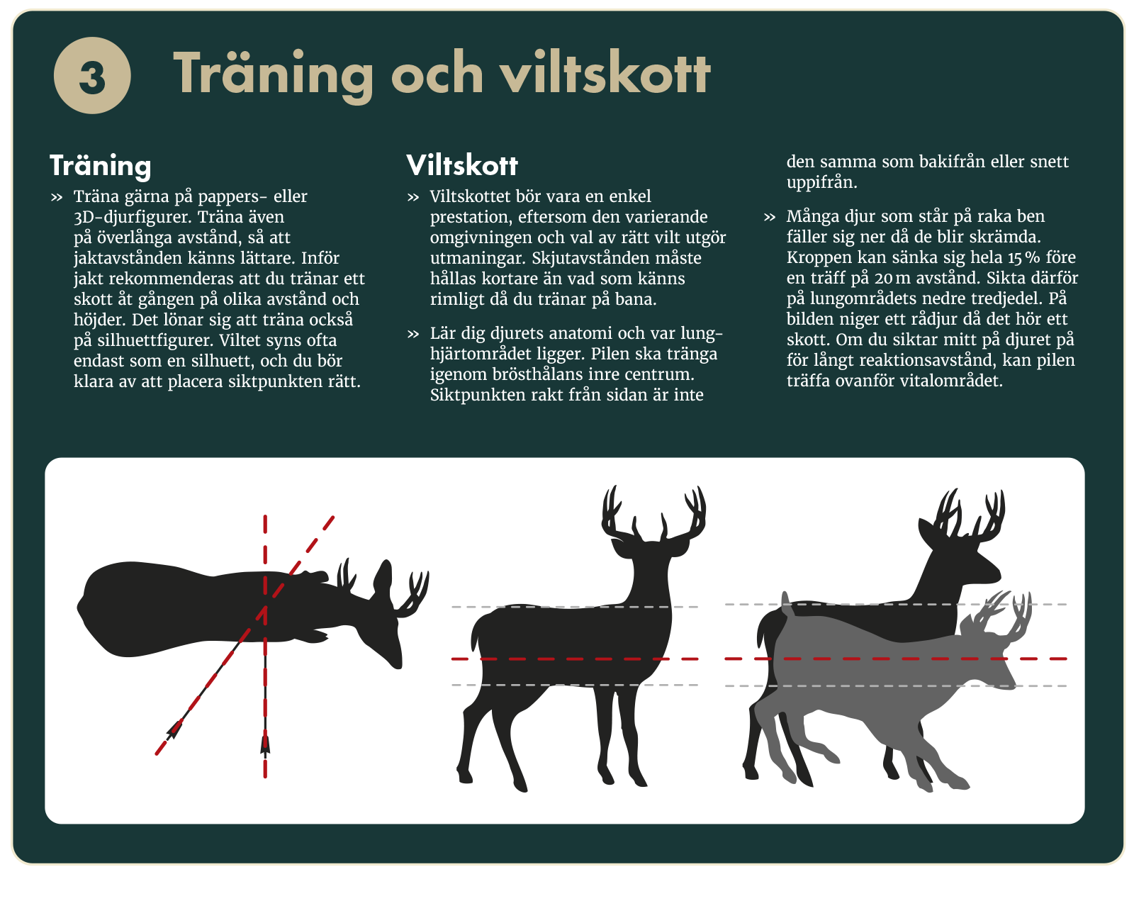 Jaktpilbåge