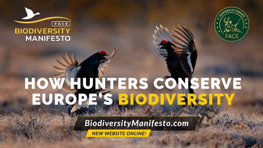 Biodiversity manifesto