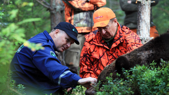 Erätarkastaja ja karhu