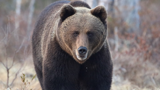 Kuva: Heikki Rytkönen / Vastavalo