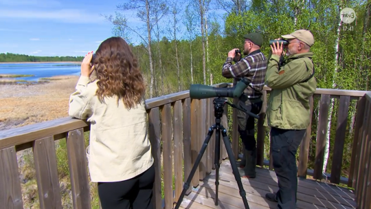 Toimittaja ja haastateltavat kiikaraoimassa Saarioisjärvellä. Kuvakaappaus Viiden jälkeen -ohjelmasta.