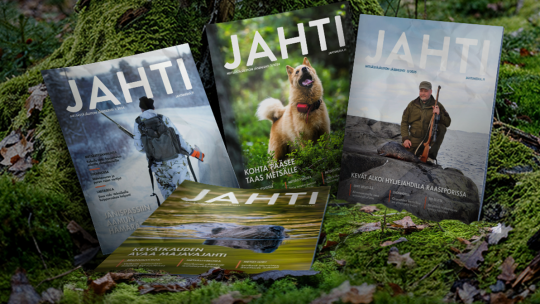 Jahti-lehtiä metsässä.