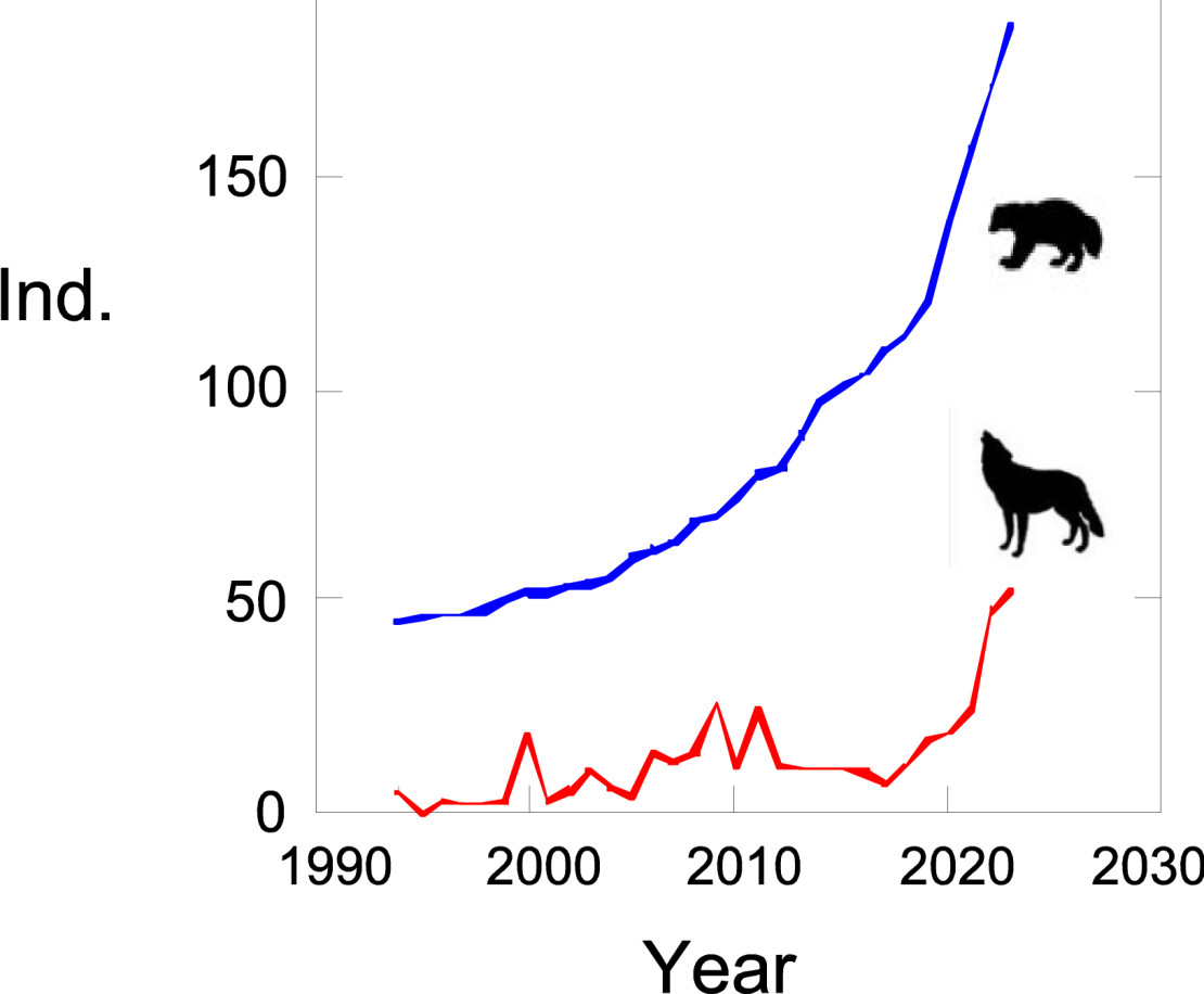 Kaadetut sudet ja ahmakanta poronhoitoalueella. Grafiikka: Ilpo Kojola / Luke