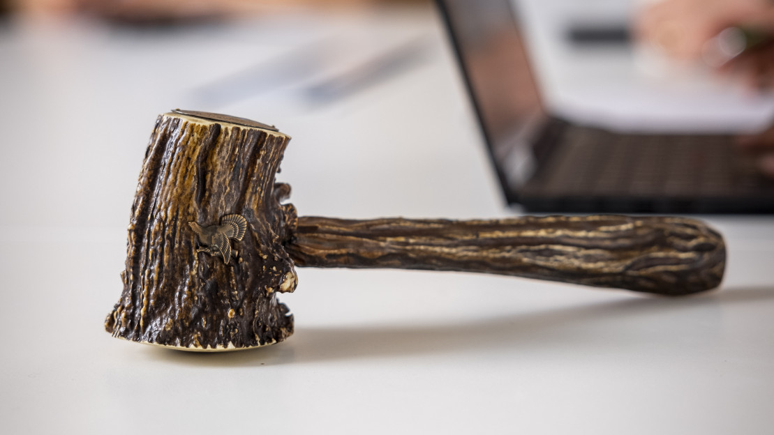 Puheenjohtajan nuija. Kuva: Pekka Rousi