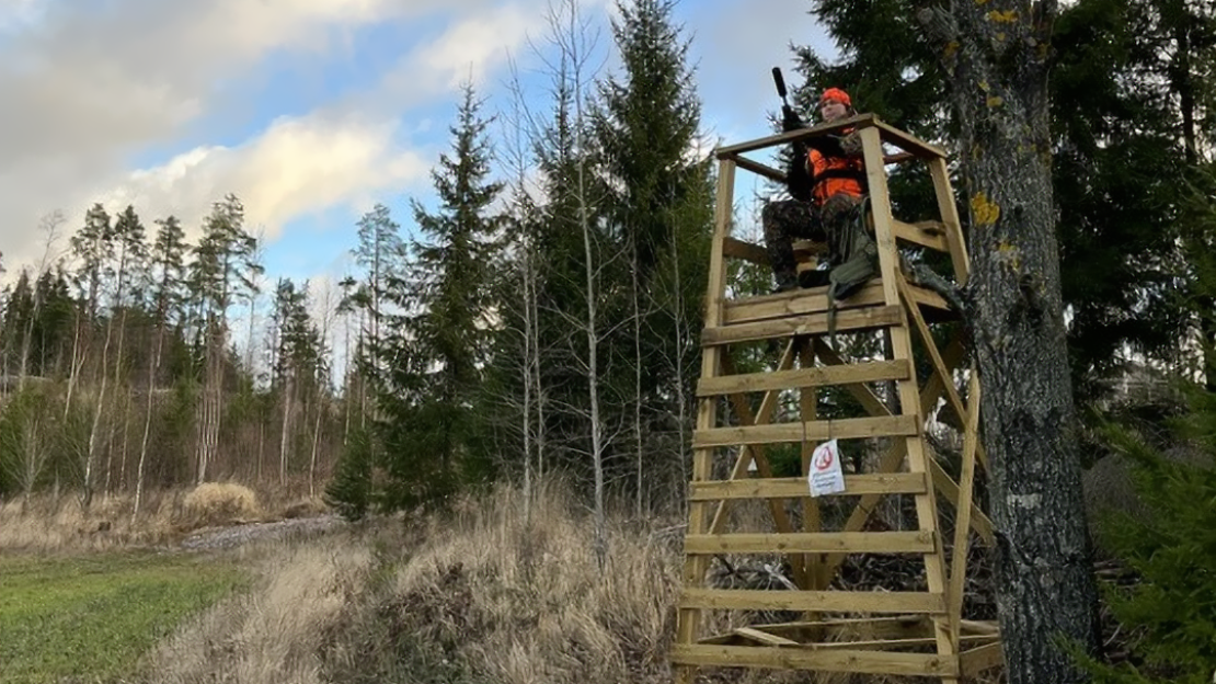 Passimies hirvitornissa. Kuva: Jussi Partanen.