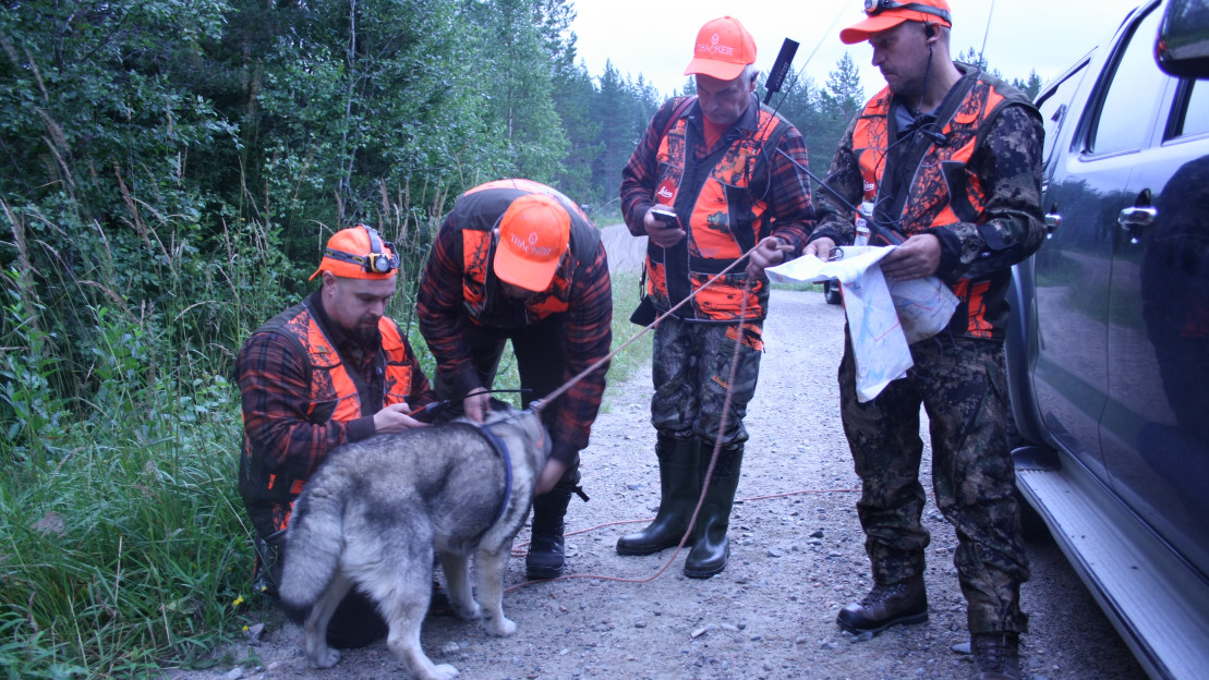 Jahtiporukka koirineen jahtiin lähdössä.