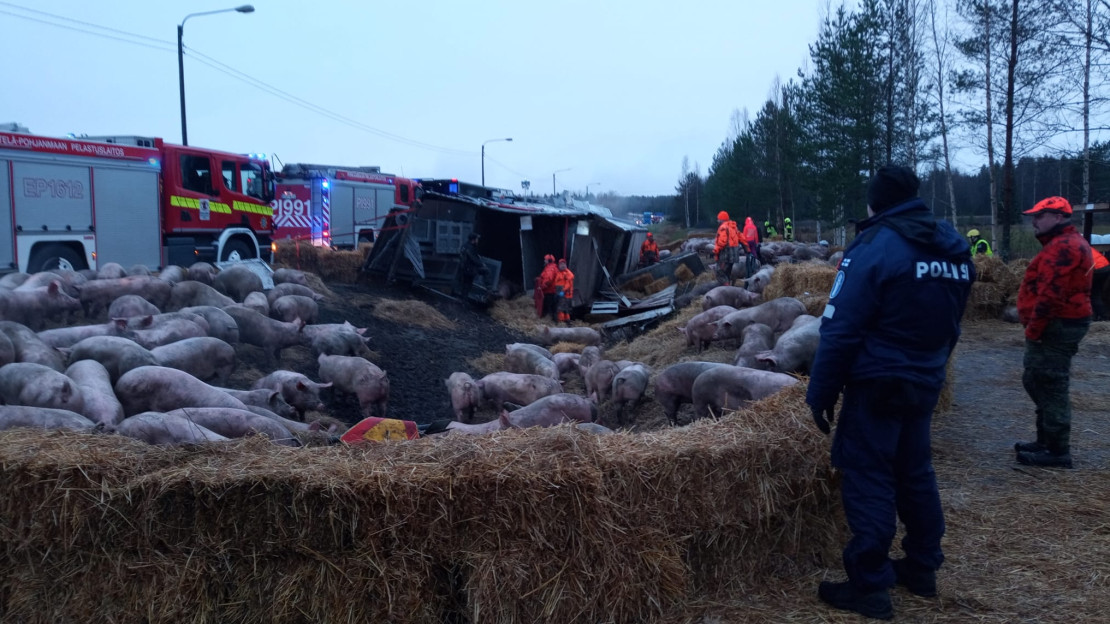 Sioille tehtiin tilapäisaitaus heinäpaaleista.
