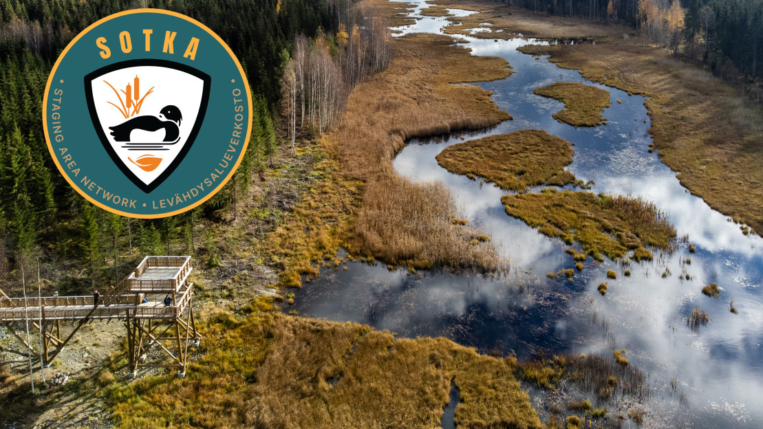 Keihäsjärven kosteikko Karttulassa.