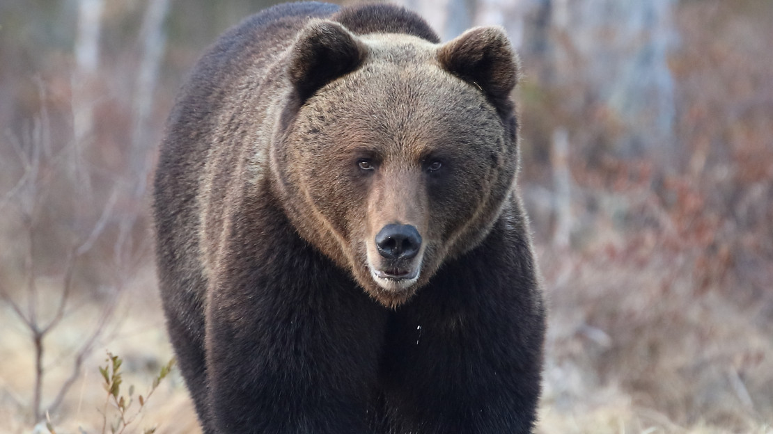 Kuva: Heikki Rytkönen / Vastavalo