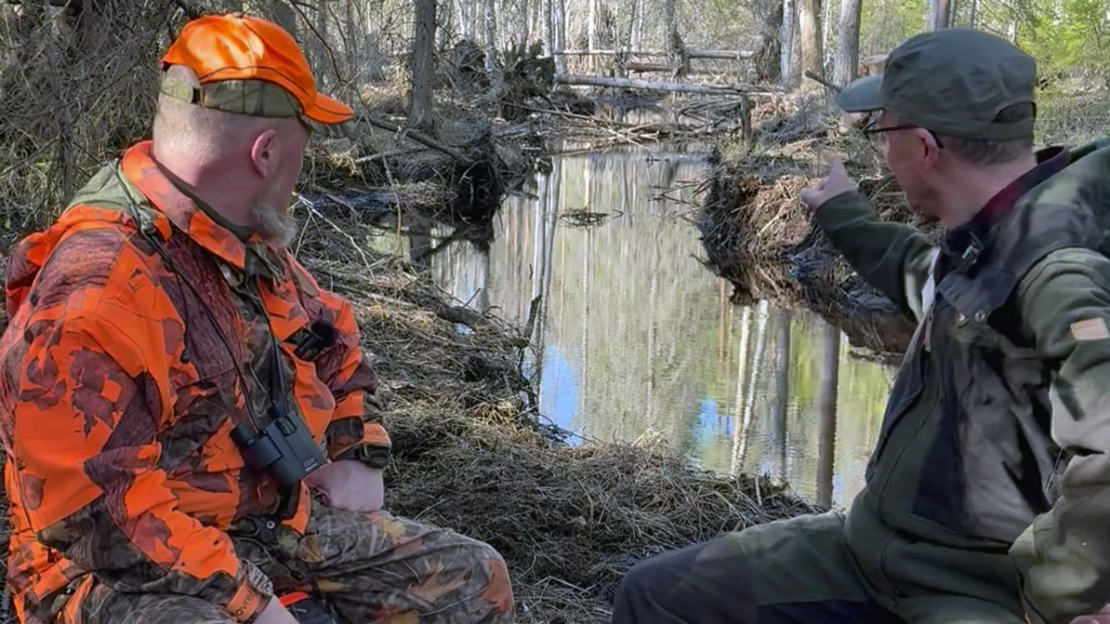 Metsästäjäliiton puheenjohtaja Petteri Lampinen ja toiminnanjohtaja Jaakko Silpola majavapurolla
