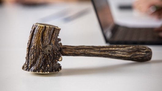 Puheenjohtajan nuija. Kuva: Pekka Rousi