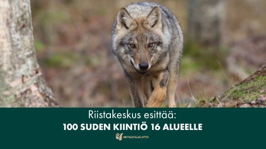 Taustan kuva: Timo Norkola / Vastavalo