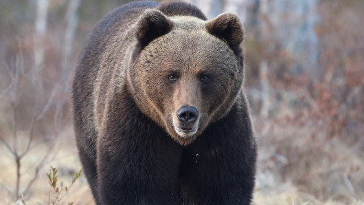 Kuva: Heikki Rytkönen / Vastavalo