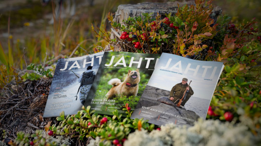 Jahti