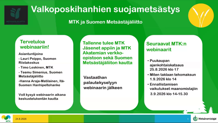 Valkoposkihanhien suojametsästys.